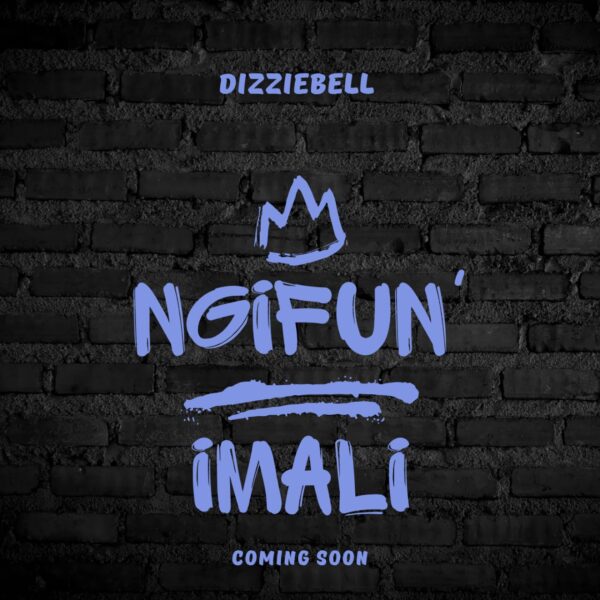 Dizziebell - Ng'fun Imali ( Official Audio )